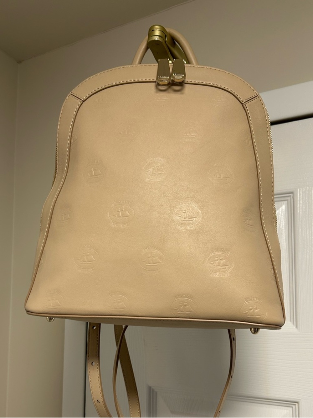 Brahmin Rosemary Leather Backpack
